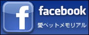 Facebooky[W